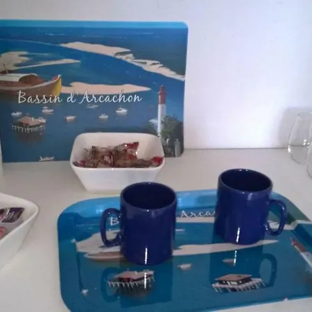 Appartement Studio Pour 2 Les Pieds Dans L'eau Et Parking Centre D'arcachon Arcachon